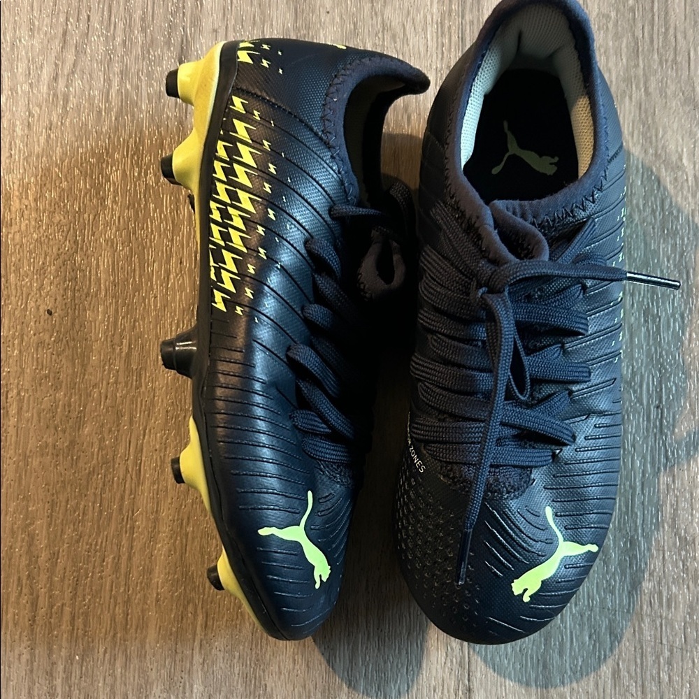 Puma with Vibrant Yellow Accents - Picture 7 of 8